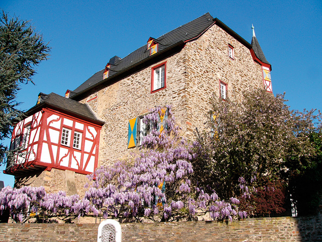 Die Heesenburg Die Heesenburg