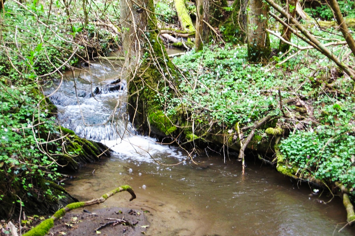 Der Keverbach in Gondorf Der Keverbach in Gondorf