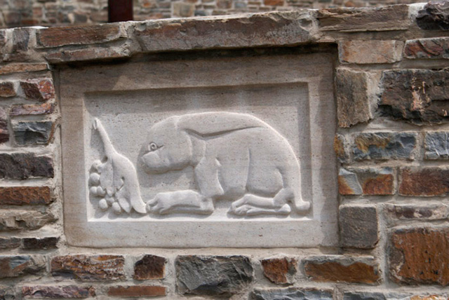 Traubennaschender Hase Traubennaschender Hase