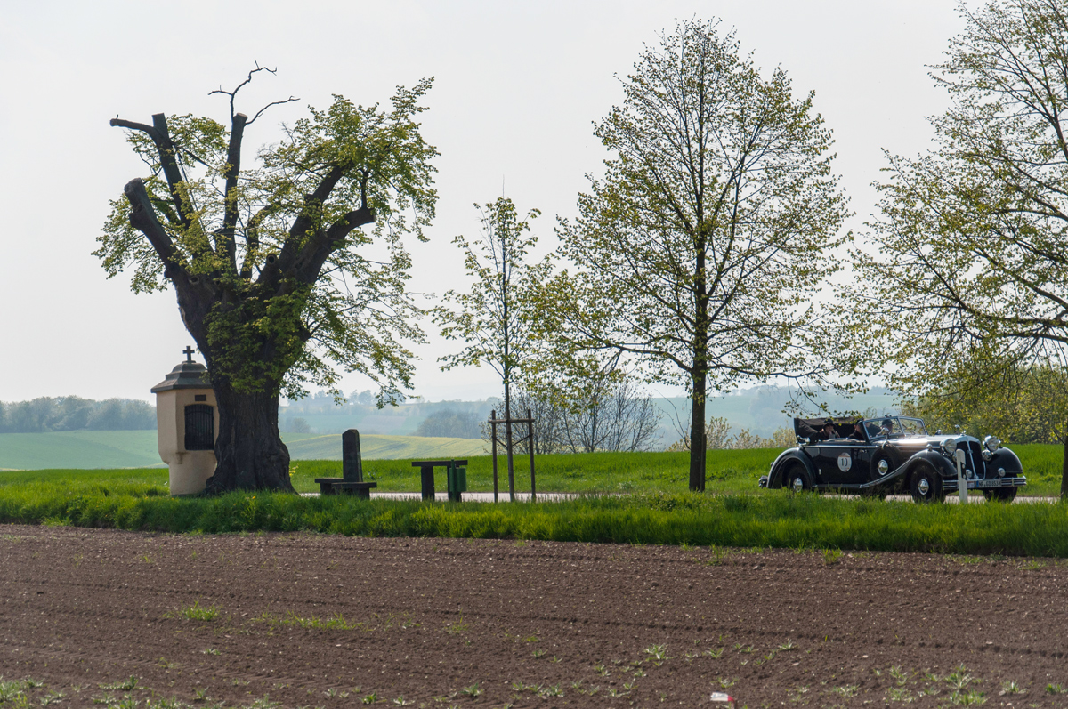 Der Lindenbaum im Jahr 2013 … oberhalb von Lehmen Der Lindenbaum im Jahr 2013 … oberhalb von Lehmen