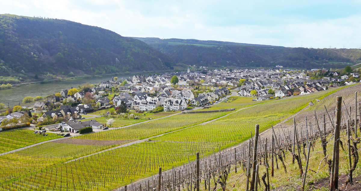 Hexenpfad nach Winningen mit Blick auf die Weinberge und Mosel. Foto: Gerhard Haag Hexenpfad nach Winningen mit Blick auf die Weinberge und Mosel. Foto: Gerhard Haag
